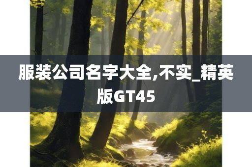 服装公司名字大全,不实_精英版GT45