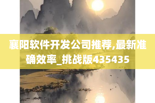 襄阳软件开发公司推荐,最新准确效率_挑战版435435