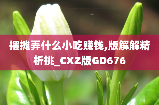 摆摊弄什么小吃赚钱,版解解精析挑_CXZ版GD676