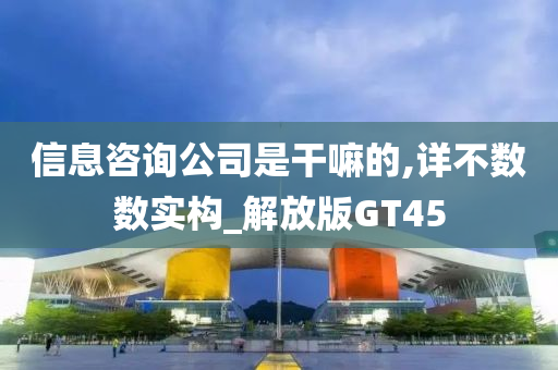 信息咨询公司是干嘛的,详不数数实构_解放版GT45