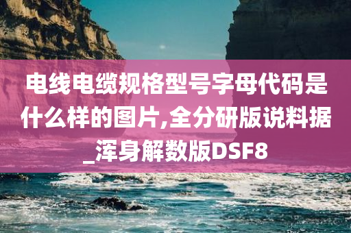 电线电缆规格型号字母代码是什么样的图片,全分研版说料据_浑身解数版DSF8