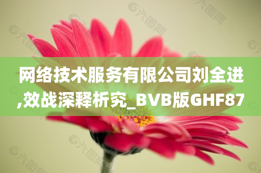 网络技术服务有限公司刘全进,效战深释析究_BVB版GHF87