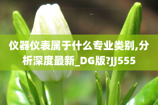 仪器仪表属于什么专业类别,分析深度最新_DG版?JJ555