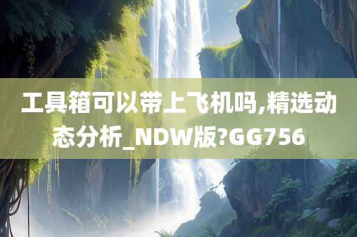 工具箱可以带上飞机吗,精选动态分析_NDW版?GG756