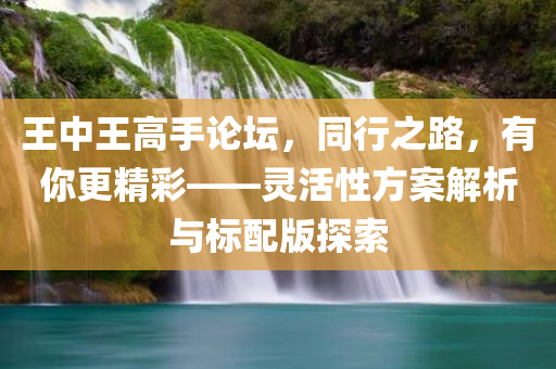 王中王高手论坛，同行之路，有你更精彩——灵活性方案解析与标配版探索