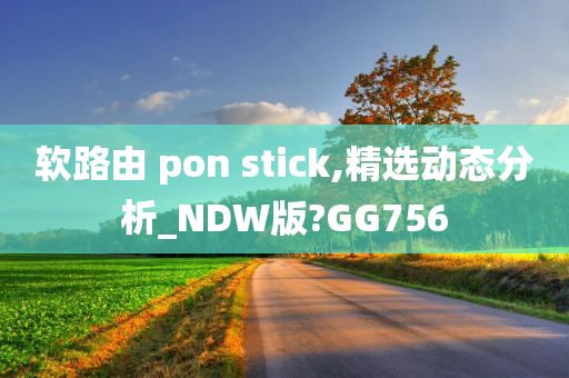 软路由 pon stick,精选动态分析_NDW版?GG756