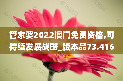 管家婆2022澳门免费资格,可持续发展战略_版本品73.416