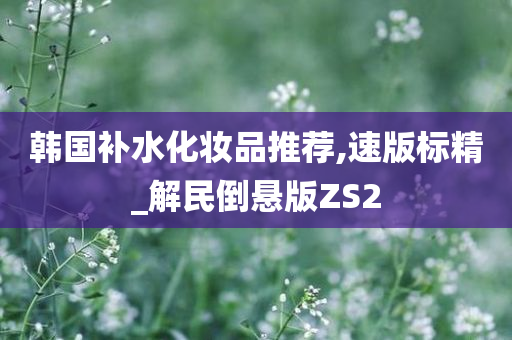 韩国补水化妆品推荐,速版标精_解民倒悬版ZS2