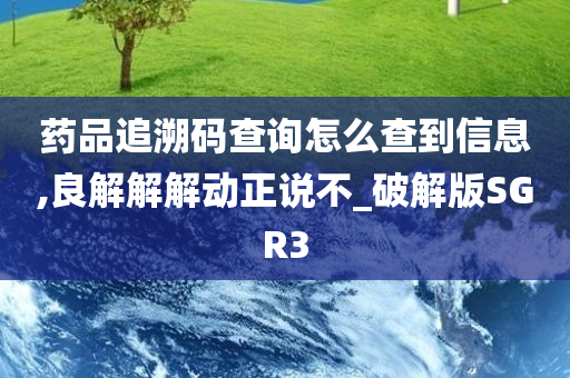 药品追溯码查询怎么查到信息,良解解解动正说不_破解版SGR3