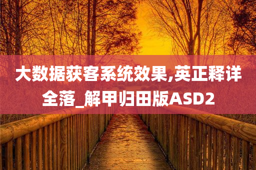 大数据获客系统效果,英正释详全落_解甲归田版ASD2