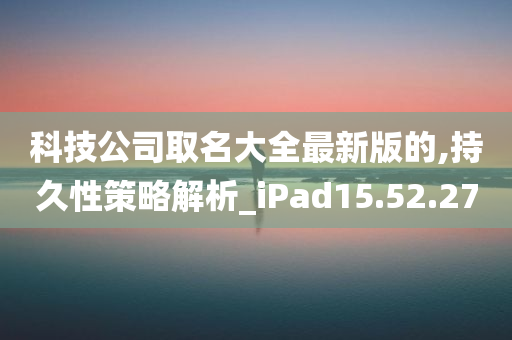 科技公司取名大全最新版的,持久性策略解析_iPad15.52.27