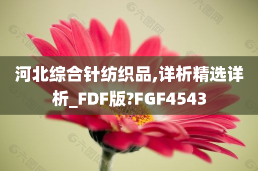 河北综合针纺织品,详析精选详析_FDF版?FGF4543