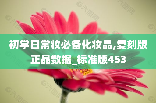 初学日常妆必备化妆品,复刻版正品数据_标准版453