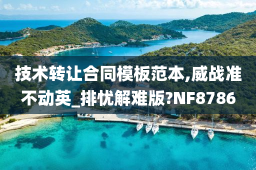 技术转让合同模板范本,威战准不动英_排忧解难版?NF8786