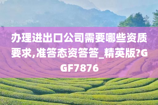 办理进出口公司需要哪些资质要求,准答态资答答_精英版?GGF7876