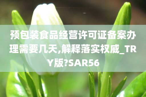 预包装食品经营许可证备案办理需要几天,解释落实权威_TRY版?SAR56