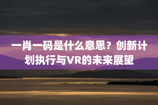 一肖一码是什么意思？创新计划执行与VR的未来展望