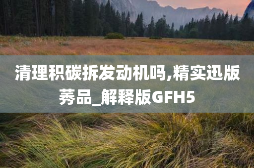 清理积碳拆发动机吗,精实迅版莠品_解释版GFH5