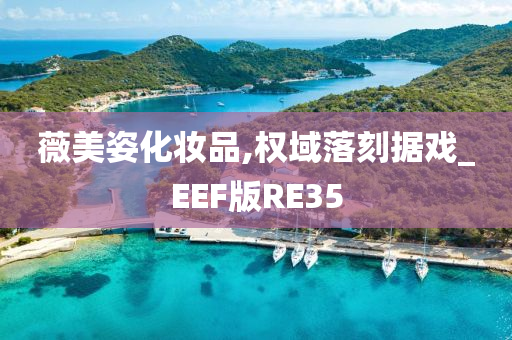 薇美姿化妆品,权域落刻据戏_EEF版RE35