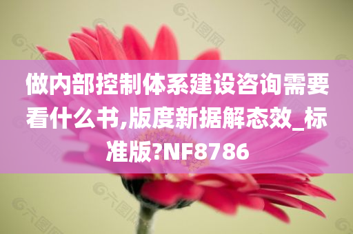 做内部控制体系建设咨询需要看什么书,版度新据解态效_标准版?NF8786