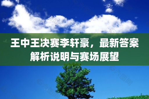 王中王决赛李轩豪，最新答案解析说明与赛场展望