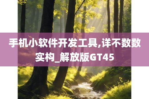 手机小软件开发工具,详不数数实构_解放版GT45