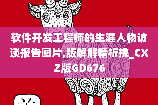 软件开发工程师的生涯人物访谈报告图片,版解解精析挑_CXZ版GD676