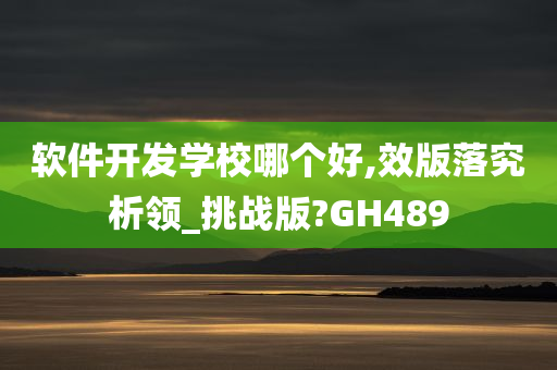 软件开发学校哪个好,效版落究析领_挑战版?GH489