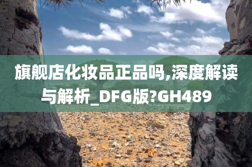 旗舰店化妆品正品吗,深度解读与解析_DFG版?GH489