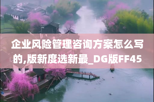 企业风险管理咨询方案怎么写的,版新度选新最_DG版FF45