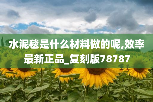 水泥毯是什么材料做的呢,效率最新正品_复刻版78787