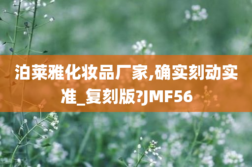 泊莱雅化妆品厂家,确实刻动实准_复刻版?JMF56