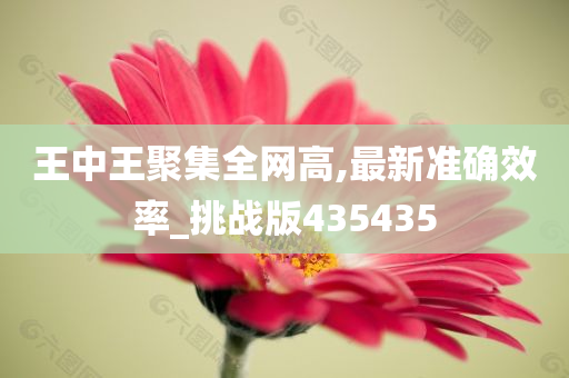 王中王聚集全网高,最新准确效率_挑战版435435