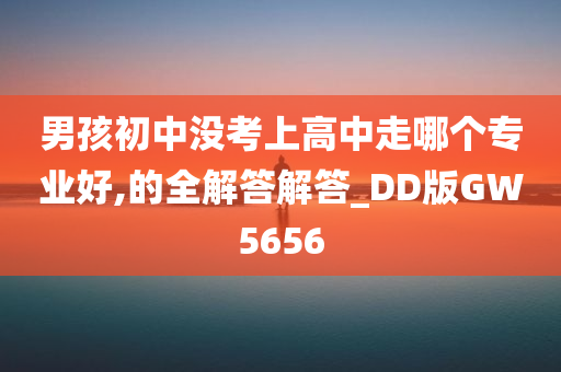 男孩初中没考上高中走哪个专业好,的全解答解答_DD版GW5656