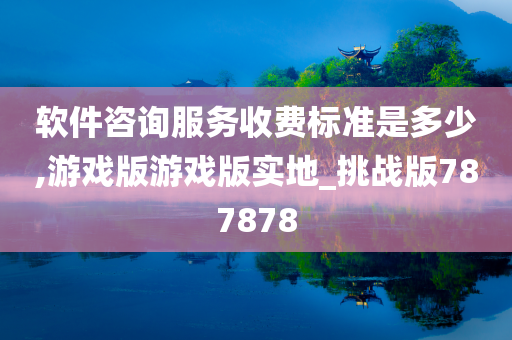 软件咨询服务收费标准是多少,游戏版游戏版实地_挑战版787878