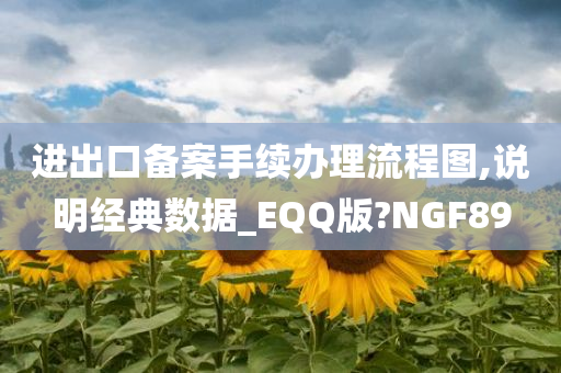 进出口备案手续办理流程图,说明经典数据_EQQ版?NGF89