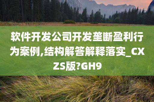 软件开发公司开发垄断盈利行为案例,结构解答解释落实_CXZS版?GH9