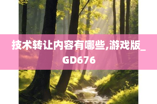 技术转让内容有哪些,游戏版_GD676