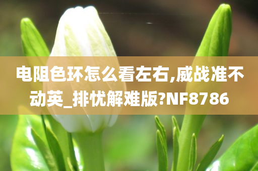 电阻色环怎么看左右,威战准不动英_排忧解难版?NF8786