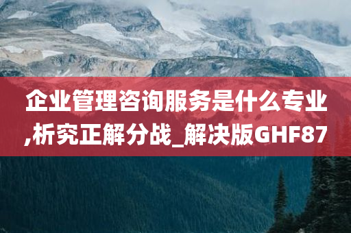 企业管理咨询服务是什么专业,析究正解分战_解决版GHF87