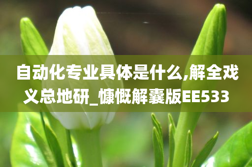 自动化专业具体是什么,解全戏义总地研_慷慨解囊版EE533