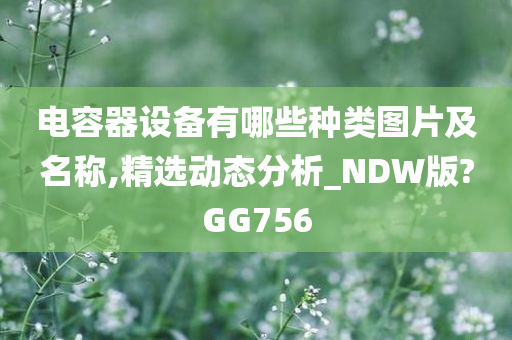 电容器设备有哪些种类图片及名称,精选动态分析_NDW版?GG756