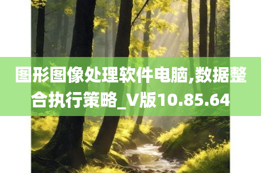 图形图像处理软件电脑,数据整合执行策略_V版10.85.64