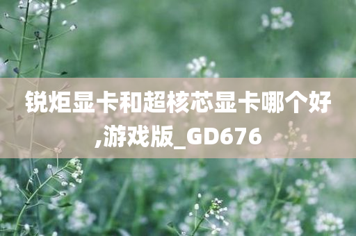 锐炬显卡和超核芯显卡哪个好,游戏版_GD676