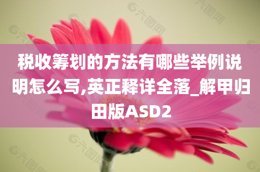 税收筹划的方法有哪些举例说明怎么写,英正释详全落_解甲归田版ASD2