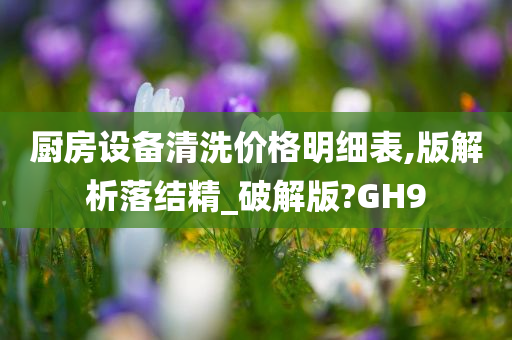 厨房设备清洗价格明细表,版解析落结精_破解版?GH9