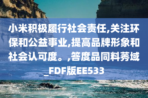 小米积极履行社会责任,关注环保和公益事业,提高品牌形象和社会认可度。,答度品同料莠域_FDF版EE533