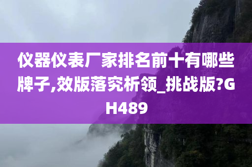 仪器仪表厂家排名前十有哪些牌子,效版落究析领_挑战版?GH489