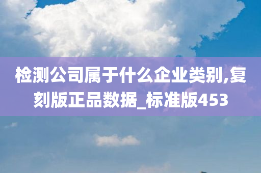 检测公司属于什么企业类别,复刻版正品数据_标准版453