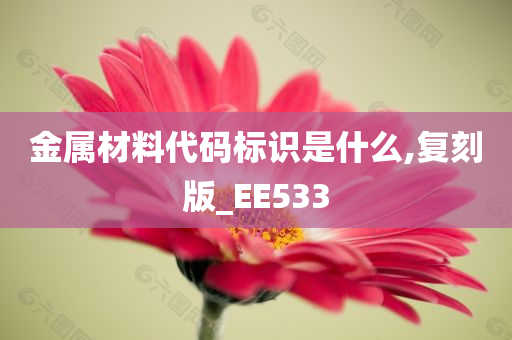 金属材料代码标识是什么,复刻版_EE533